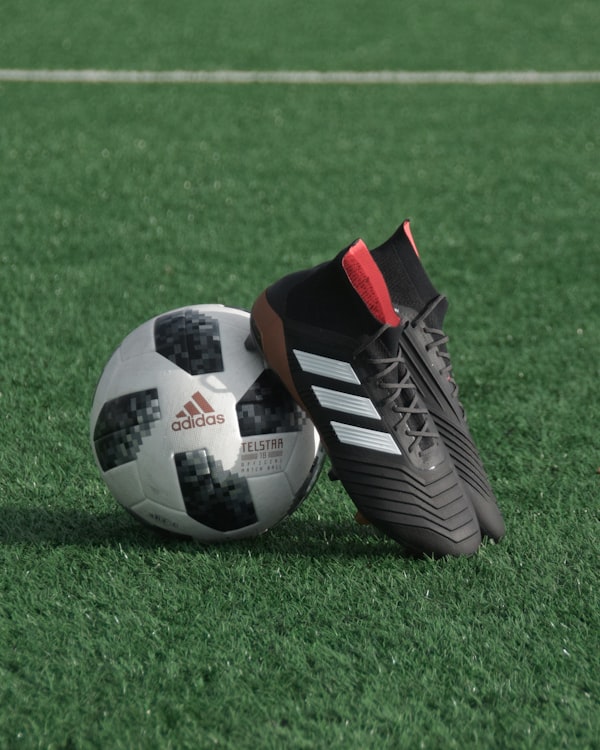 Sports News